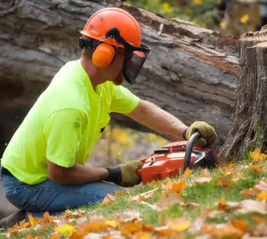 tree services Davidson